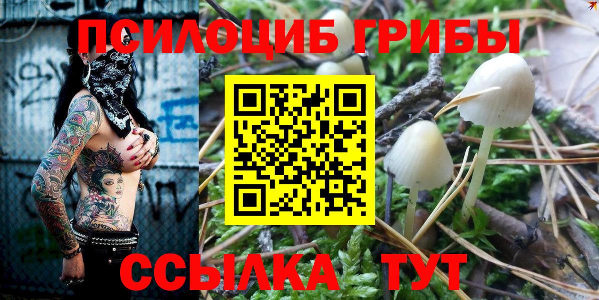 Галлюциногенные грибы MAGIC MUSHROOMS  Вход с VPN  Александров 