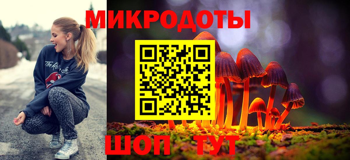 Псилоцибиновые грибы Psilocybe Александров